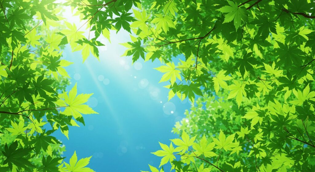 ちはやふる・新緑のもみじ